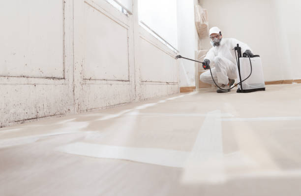 24/7 Emergency Mold Inspection experts in Wheaton, IL